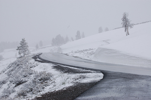 Yellowstone National Park